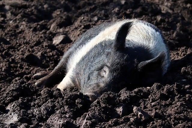 Vhodné príležitosti​ na ​nosenie ⁣čiernych šiat